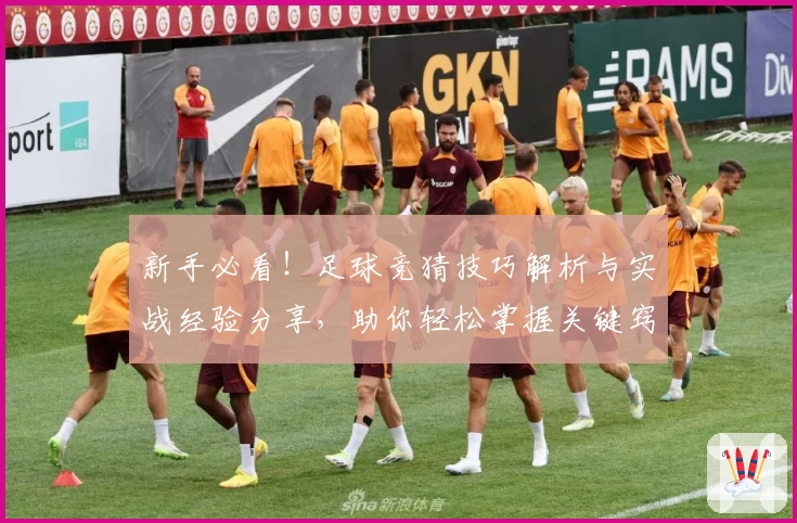 新手必看!足球竞猜技巧解析与实战经验分享,助你轻松掌握关键窍门
