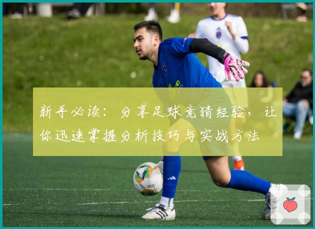 新手必读：分享足球竞猜经验，让你迅速掌握分析技巧与实战方法