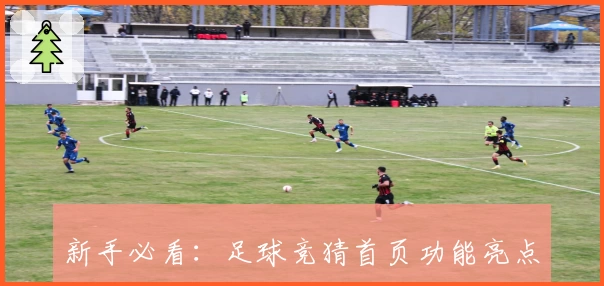 新手必看：足球竞猜首页功能亮点解析与注册教程全攻略