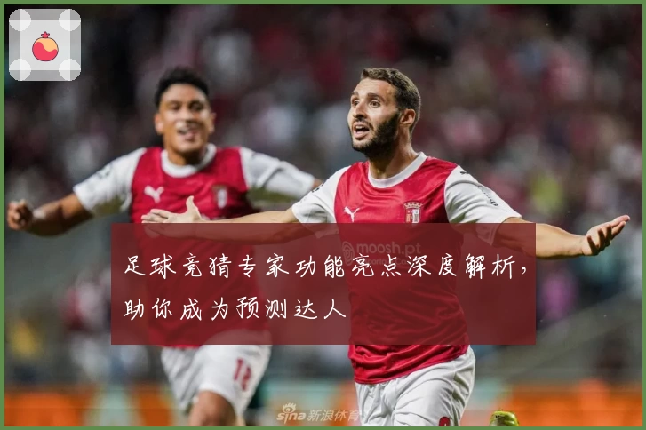 足球竞猜专家功能亮点深度解析，助你成为预测达人
